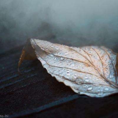 美狮会登陆注册平台旗舰版