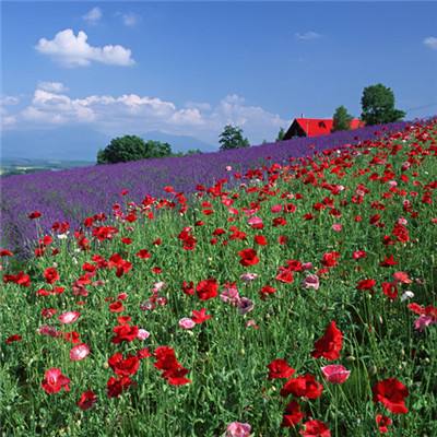 快讯：现货黄金日内跌超2% 现货白银跌超3%