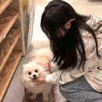 中国公民近期避免前往日本